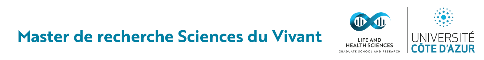 banniere Master svs Nice